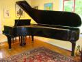 Photo of Steinert Concert Grand #12667