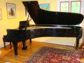 Steinert Concert Grand #12667