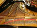 Photo of Steinert Concert Grand #12667
