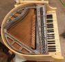 Photo of Wurlitzer Student Butterfly