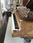 Photo of Steinway Concert Grand Grand #13174 (1866)